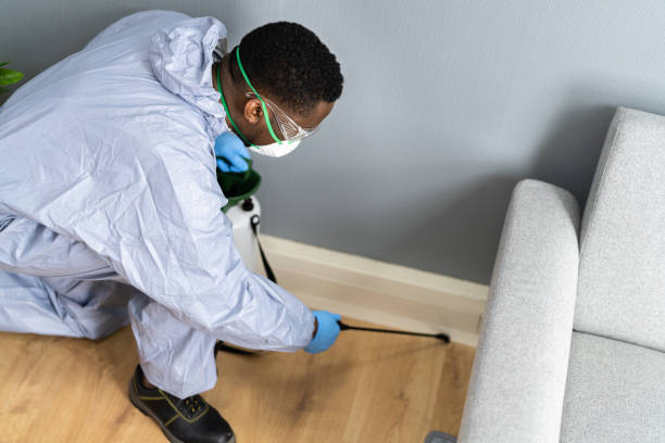 Best Pest Control for Hotels  in El Granada, CA